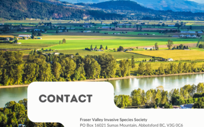 Annual Report: FVISS